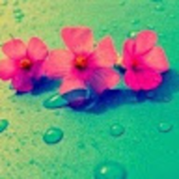 katibutterfly